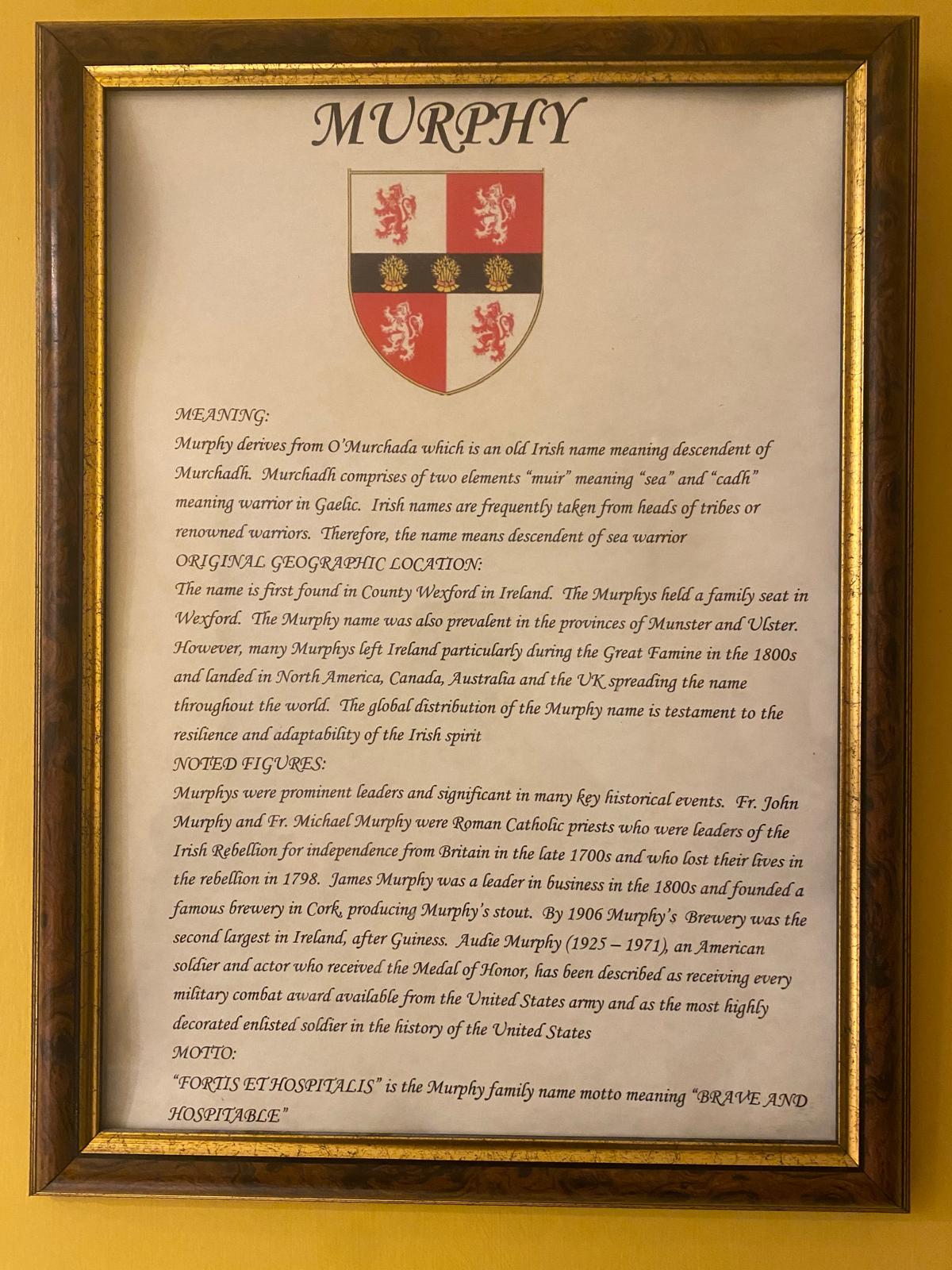 Irish Family Name Gift Poster